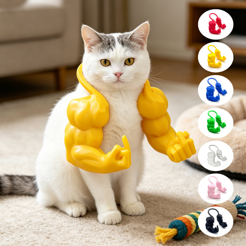 Funny Cat Muscle Arms Toy