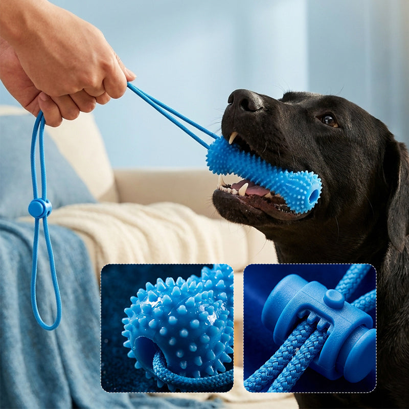 Pet Teeth Grinding and Brushing Stick