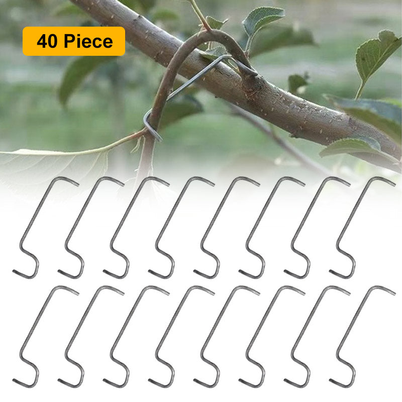 Fruit Tree Branch Spreader(40pcs)