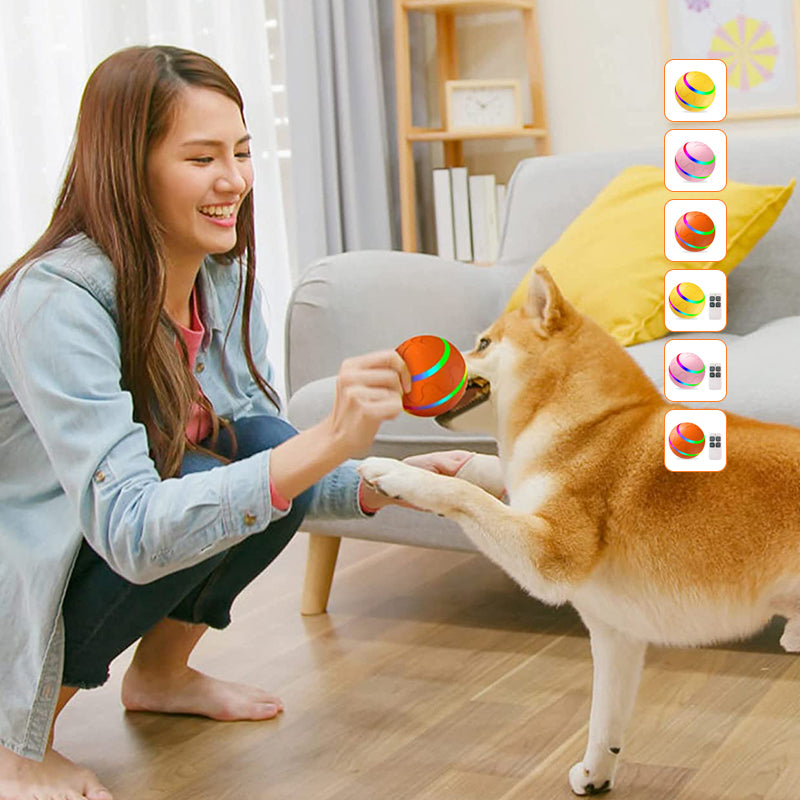 Pet Intelligent Ball