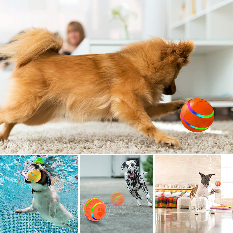 Pet Intelligent Ball