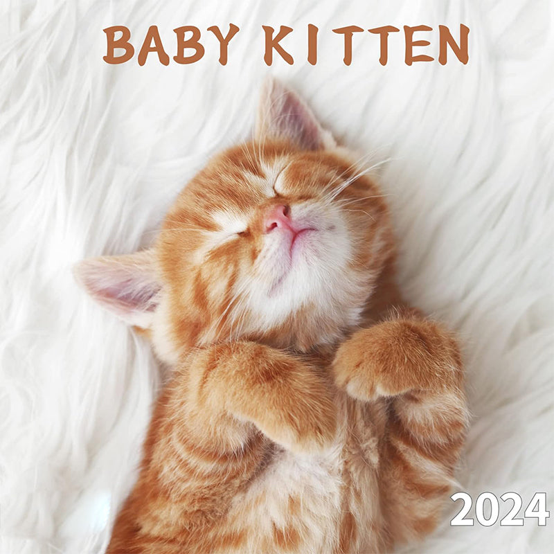 2024 Baby Cat Calendar