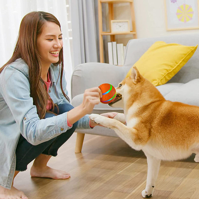 Pet Intelligent Ball