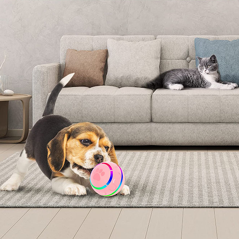 Pet Intelligent Ball