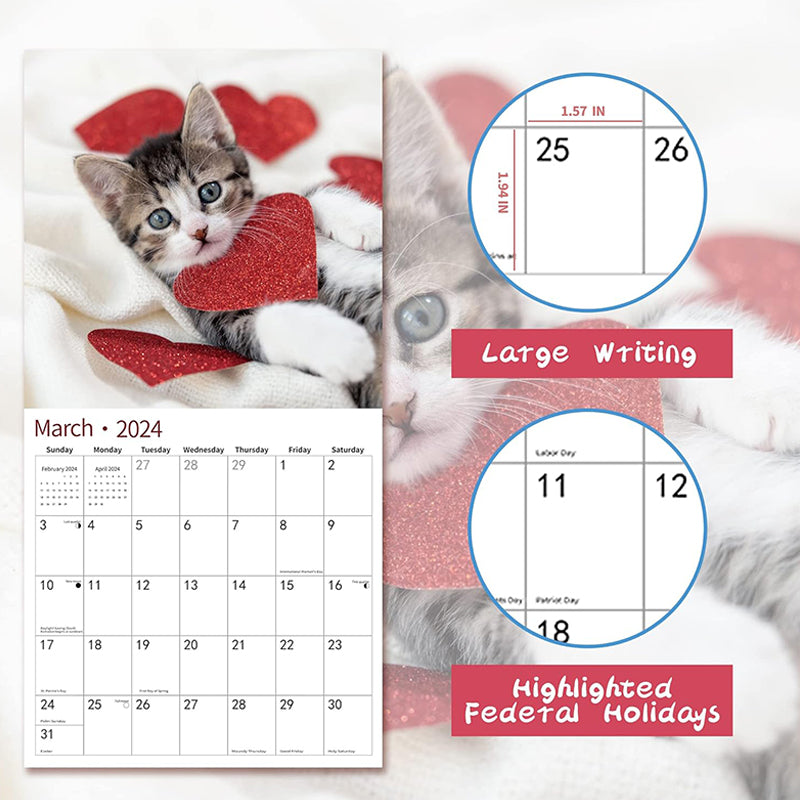 2024 Baby Cat Calendar