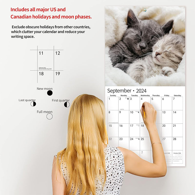 2024 Baby Cat Calendar