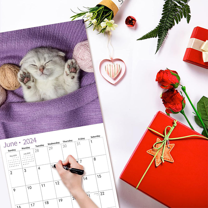 2024 Baby Cat Calendar