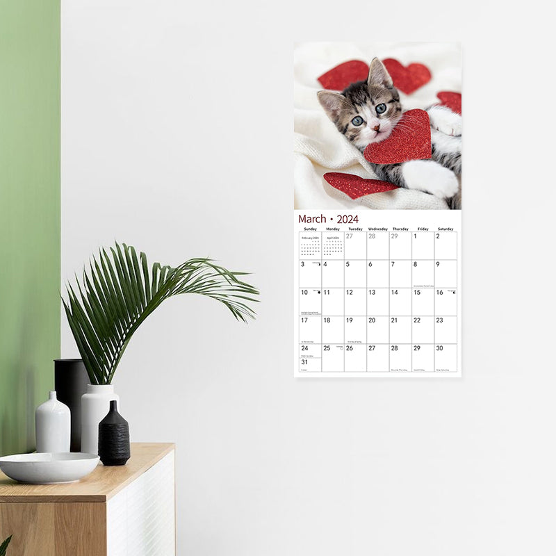 2024 Baby Cat Calendar