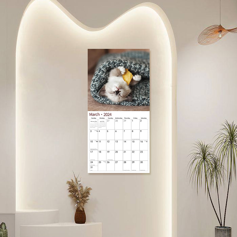 2024 Baby Cat Calendar