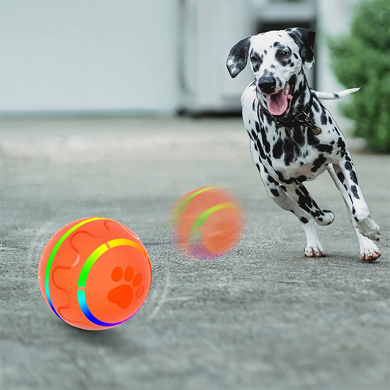 Pet Intelligent Ball