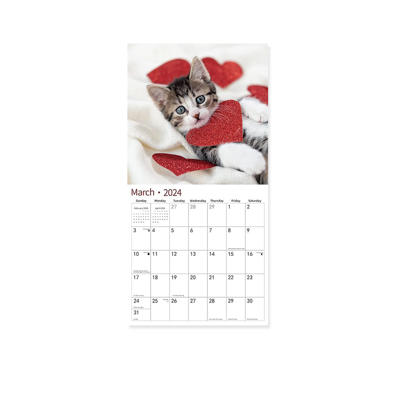 2024 Baby Cat Calendar