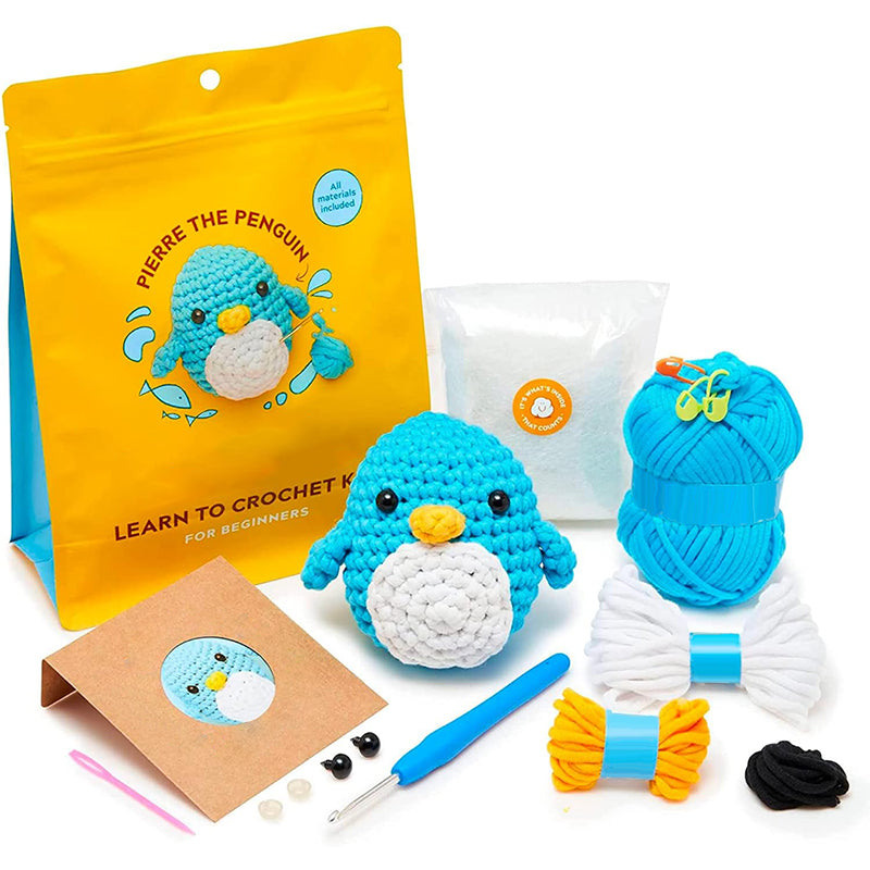 DIY beginner crochet kit