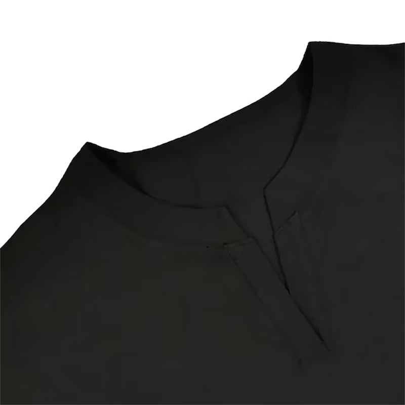 Plain Long Sleeve Casual Basic V Neck Blouse
