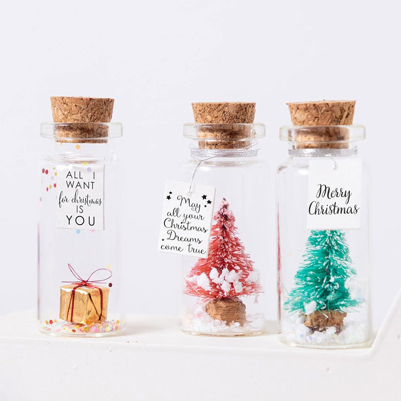Christmas Card in a Bottle