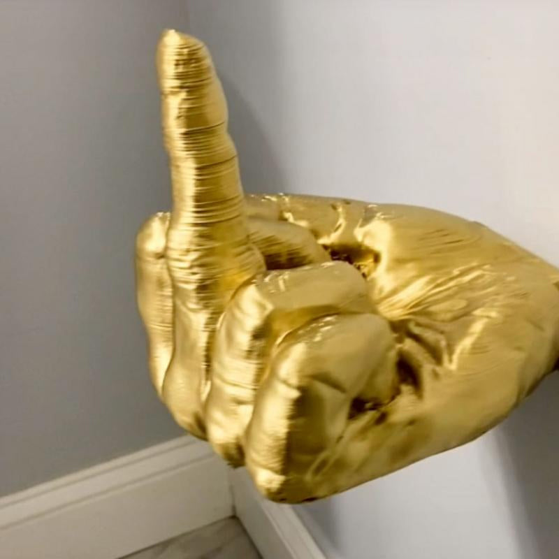 Wall mounted middle finger hook