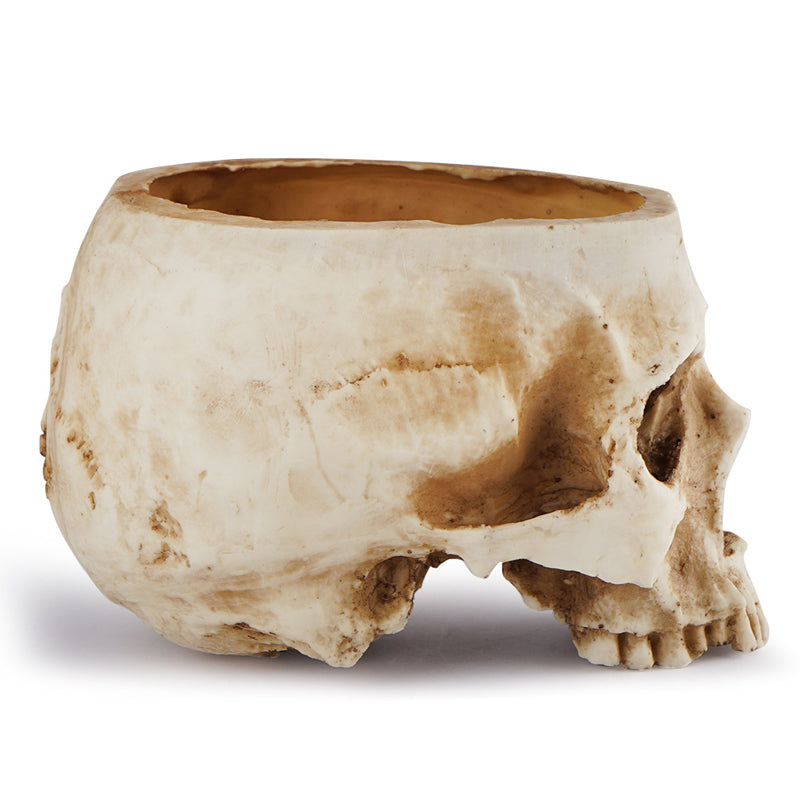 Handmade Skull Flowerpot