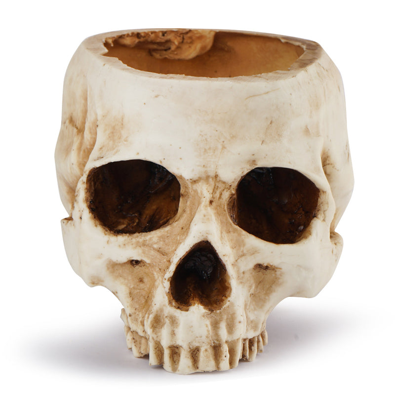 Handmade Skull Flowerpot