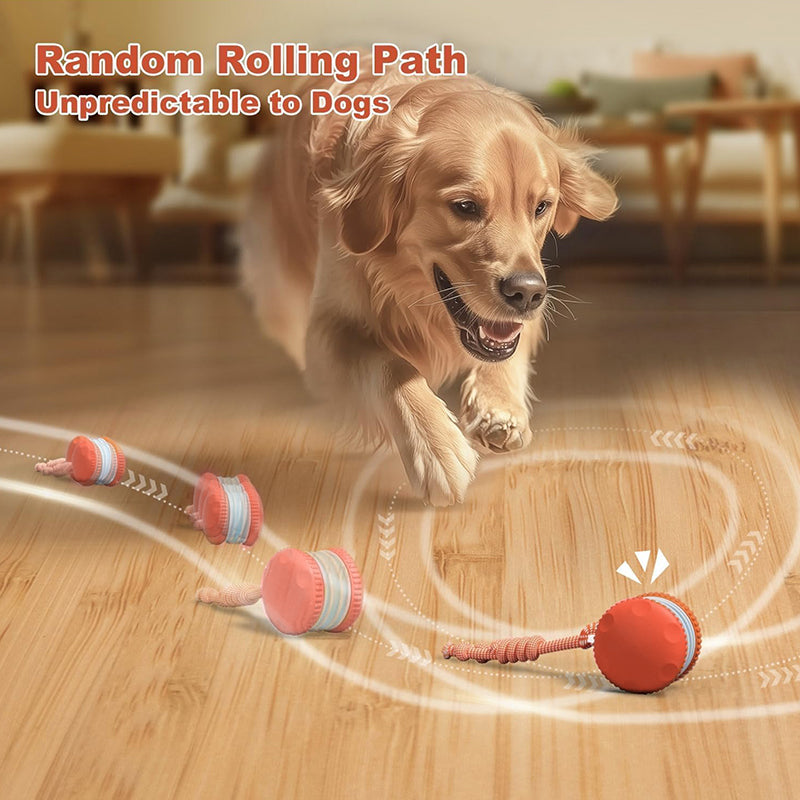 Interactive Dog Toys
