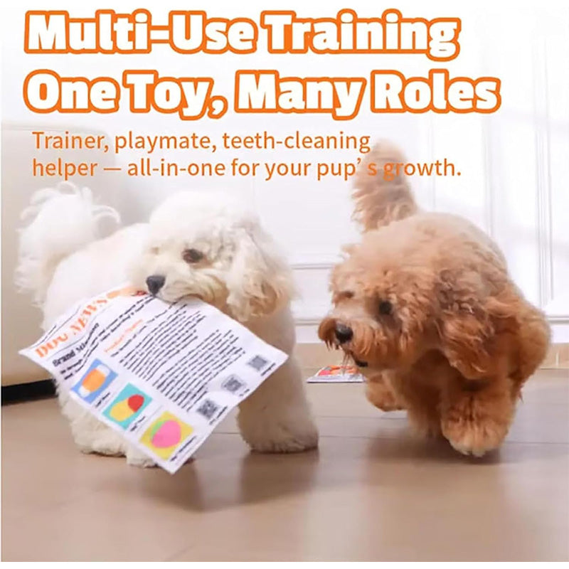 Interactive pet newspaper toy