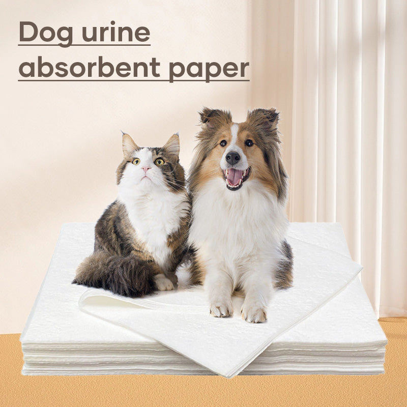 Pet Absorbent Paper