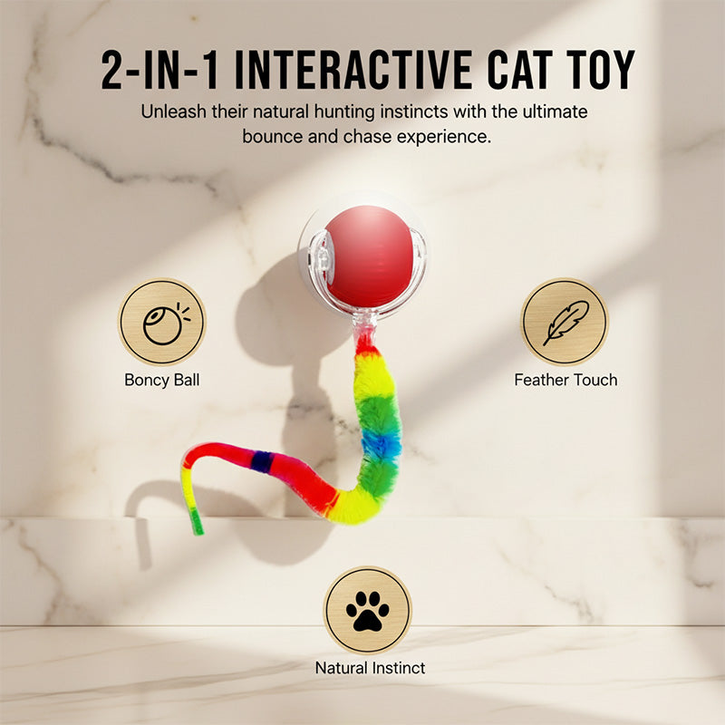 Colorful Caterpillar Cat Teaser Ball