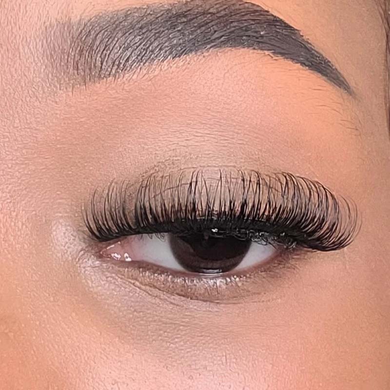 False Eyelash