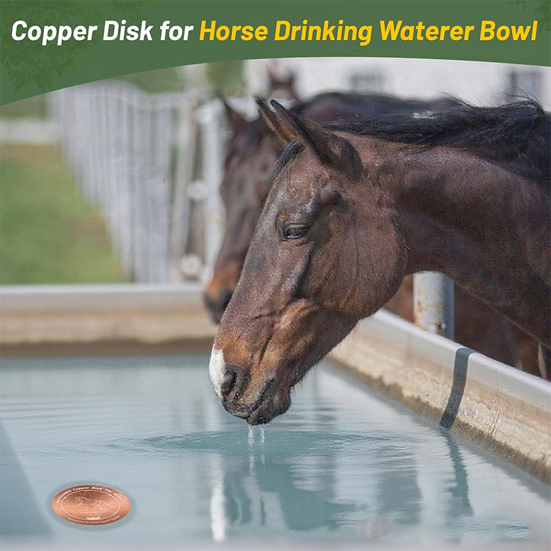 Pet Water Fountain Cleaning Tray