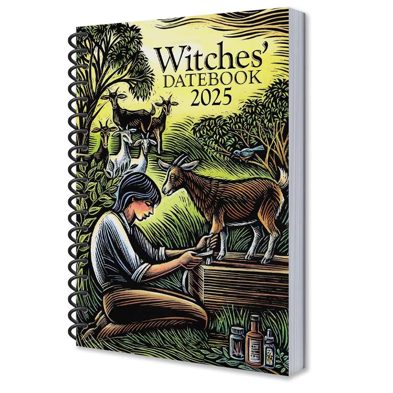 2025 Witches Calendar + Notebook