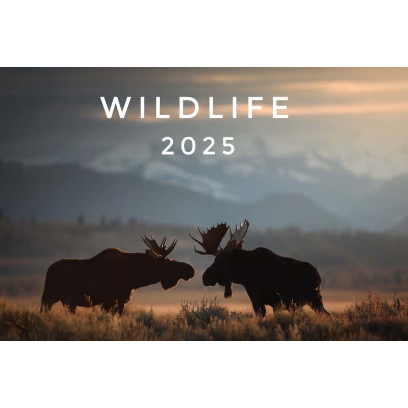 2025 Wildlife Calendar