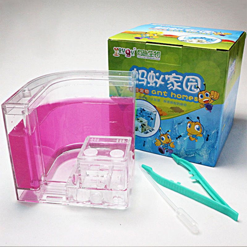 Ant Home Ecological Toys