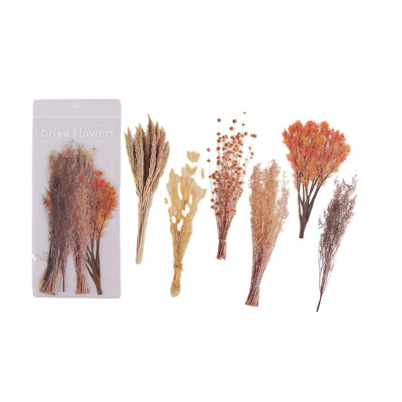 Dried Flowers Stickers Set