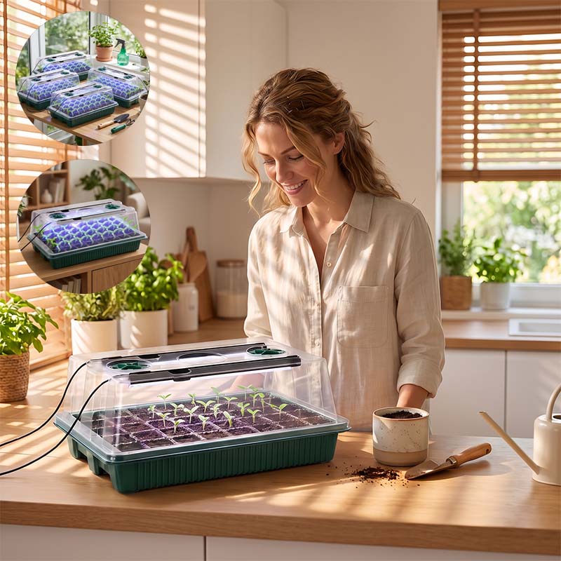 2 Pack Seed Starter Tray with Grow Light