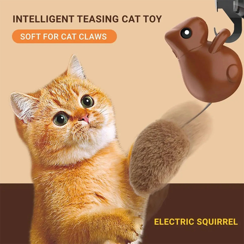 Squirrel Smart Cat Toy