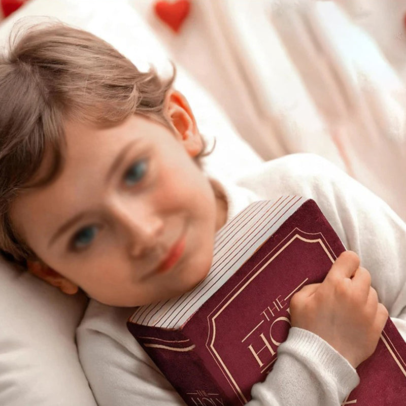 Biblical Pillow