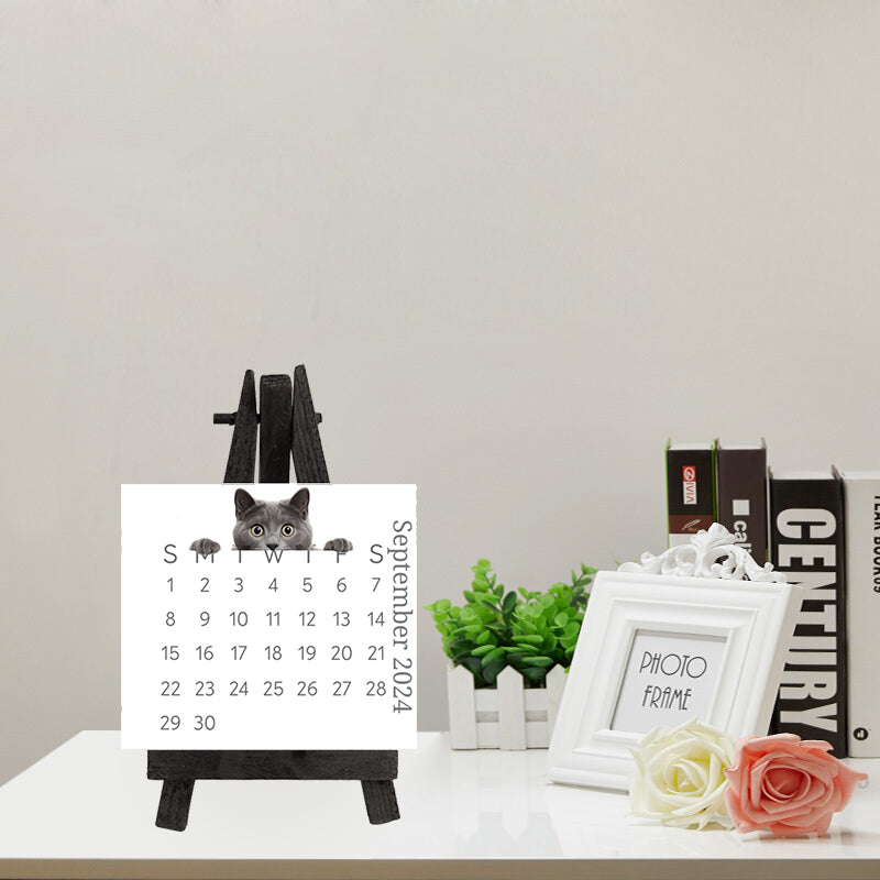 🐱2024 Peeking Cat Desk Calendar