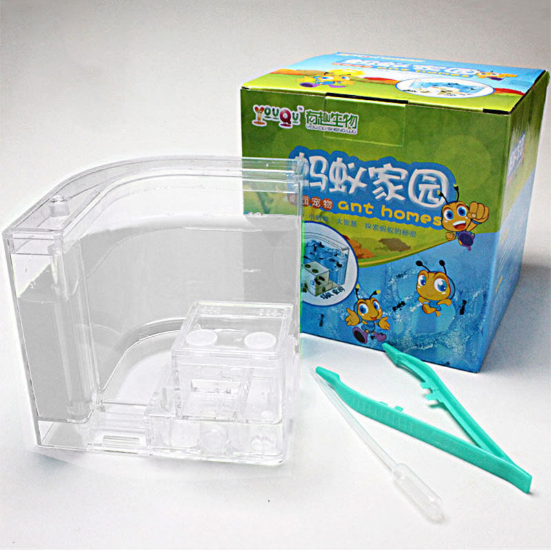 Ant Home Ecological Toys