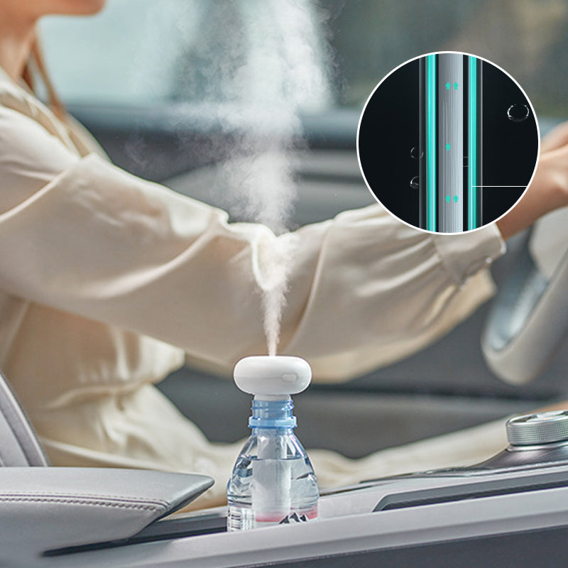 Portable Charging Hydrating Humidifier