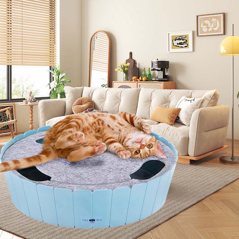 Electric Running Mouse Cat Toy