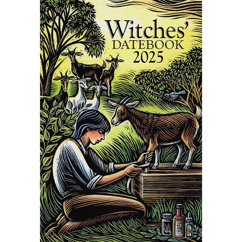 2025 Witches Calendar + Notebook