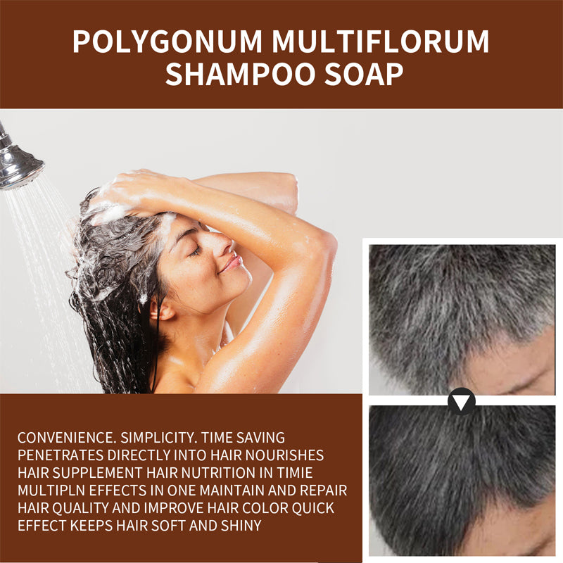 Polygonum multiflorum shampoo soap