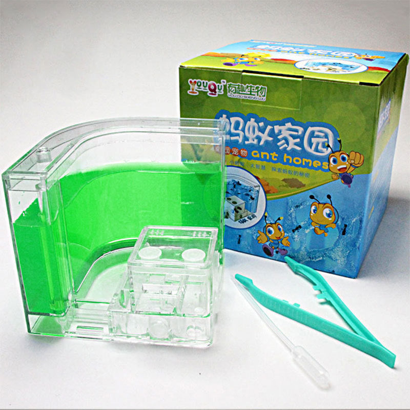 Ant Home Ecological Toys