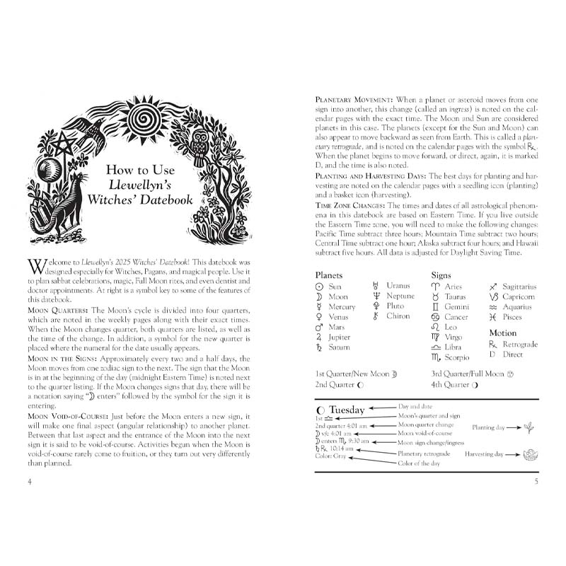 2025 Witches Calendar + Notebook