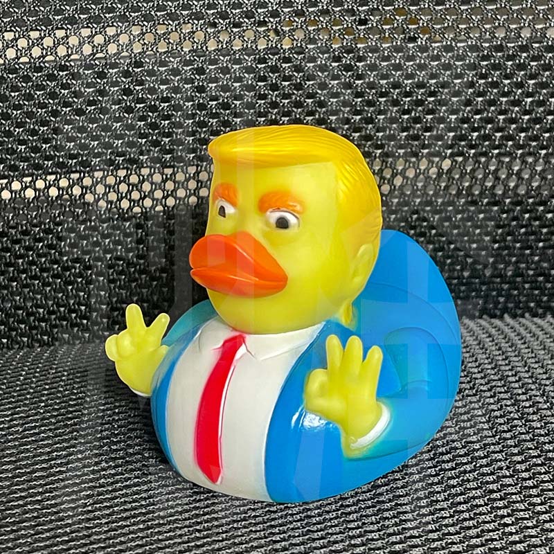Cute funny duck