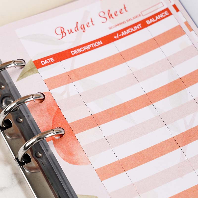 Cash Budget Book