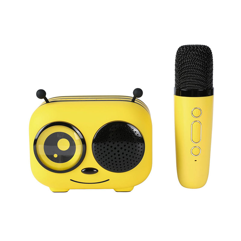 Mini Karaoke Machine for Kids Adults