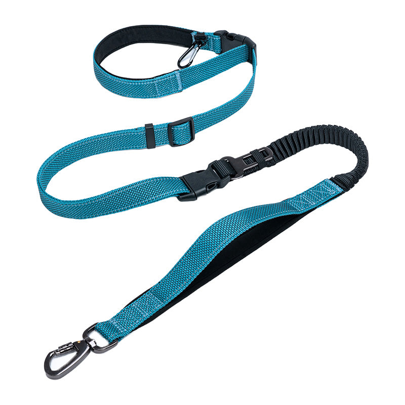 Hands Free Dog Leash