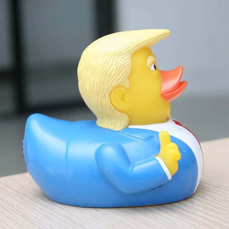 Cute funny duck