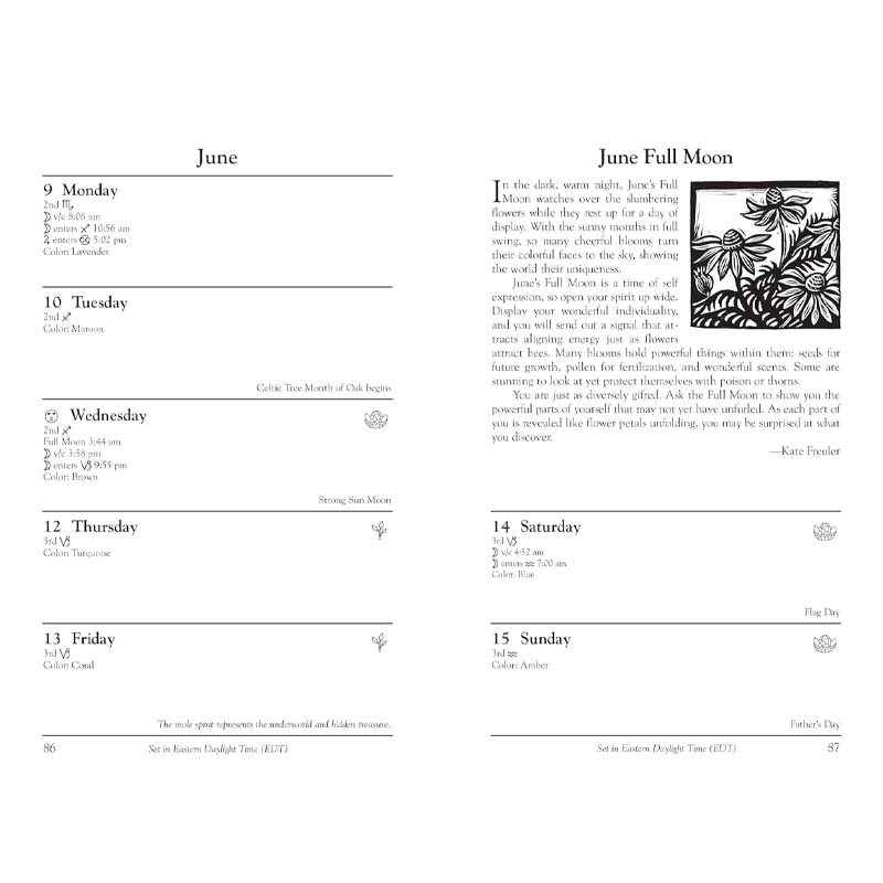 2025 Witches Calendar + Notebook