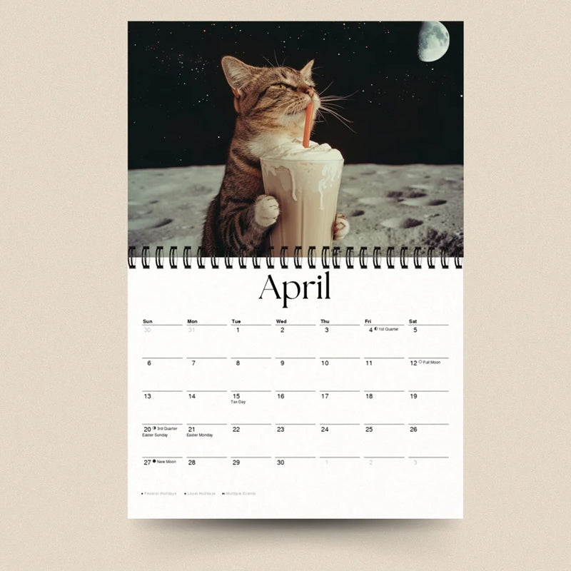 Cat Calendar | Year 2025