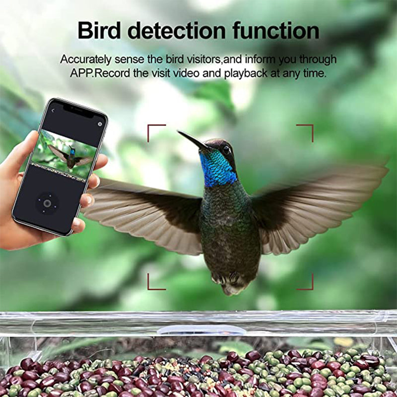 Smart Bird Feeder with Camera